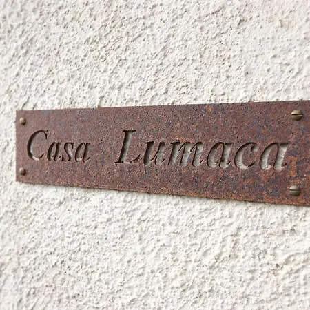 Casa Lumaca *